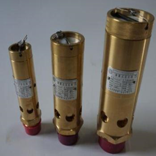 英格索蘭安全閥圖片2